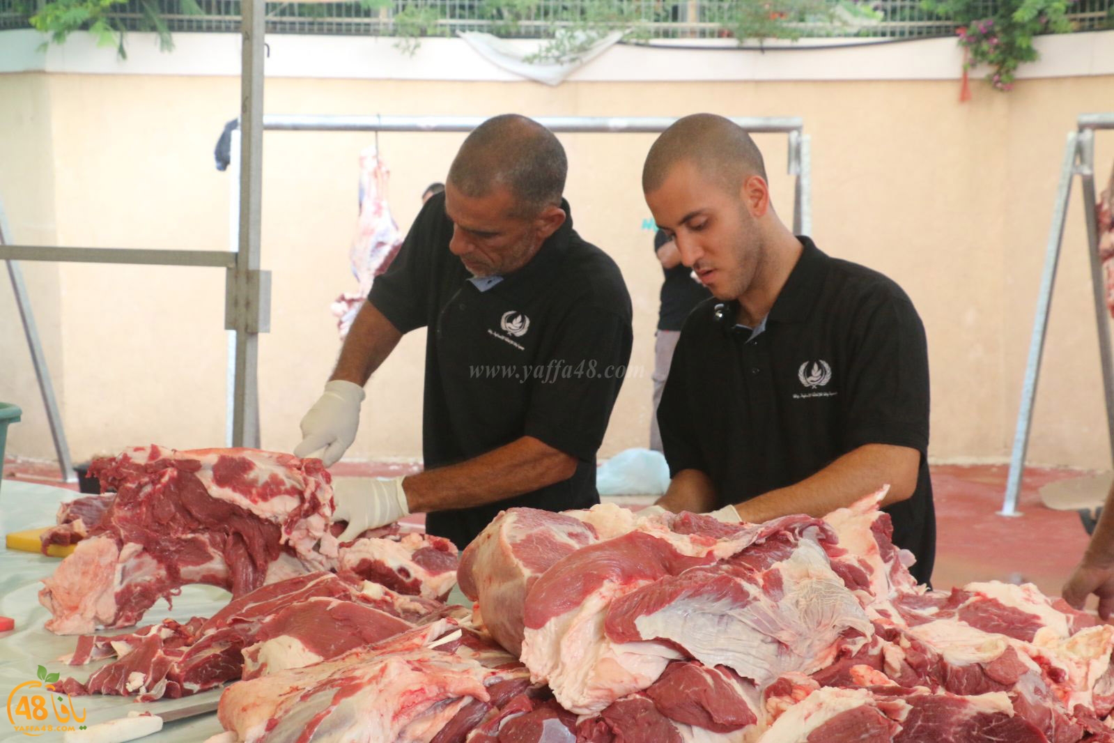 lo7om jam3iya u3 (16).jpg